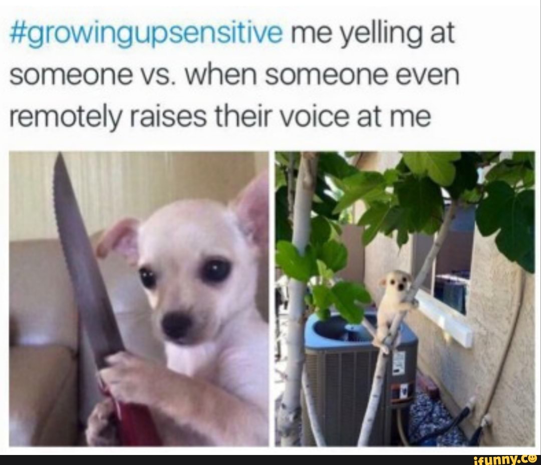 growingupsensitive me yelling at someone vs. when someone even
