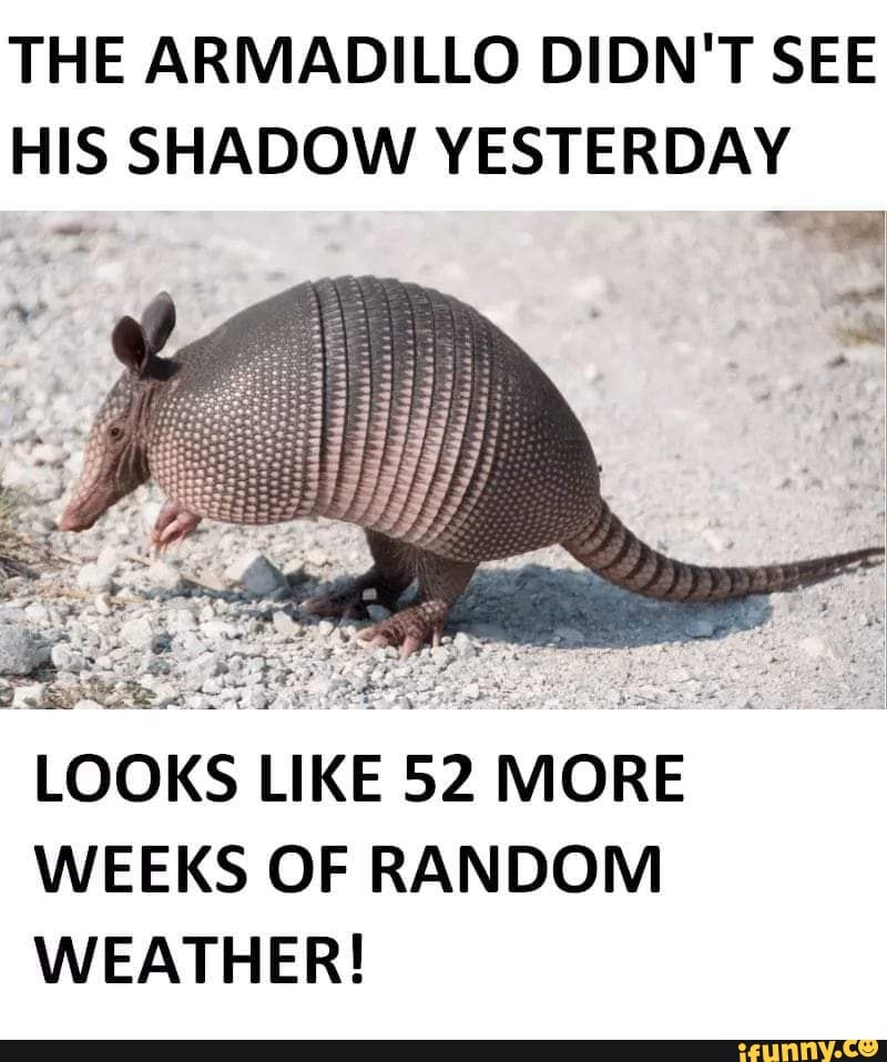 THE ARMADILLO DIDN'T SEE HIS SHADOW YESTERDAY LOOKS LIKE 52 MORE WEEKS