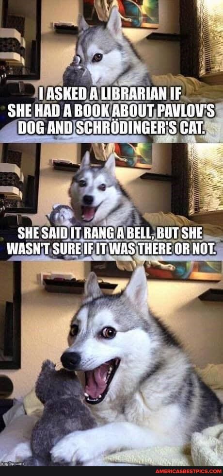 TASKED A LIBRARIAN IF SHE HAD A BOOK ABOUT PAULOW'S DOG AND SCHRODINGER'S EAT.
SHE SAID IT BANG BELL, BUT SHE WASN'T SURE IFIT WAS THERE OR NOT.