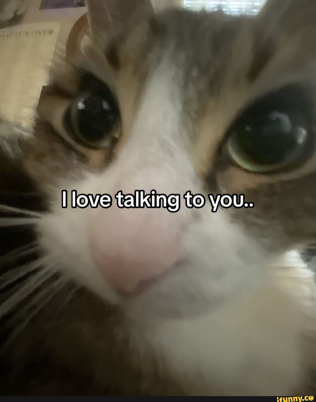 N/A - I love talking to you.. - iFunny, image size:1080x1370