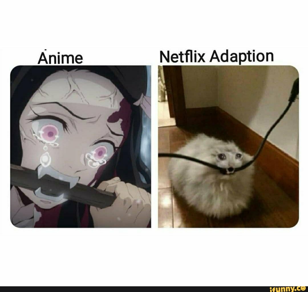 Anime
Netflix Adaption