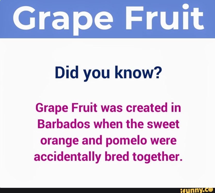 Did you know? Grape Fruit was created in Barbados when the sweet orange