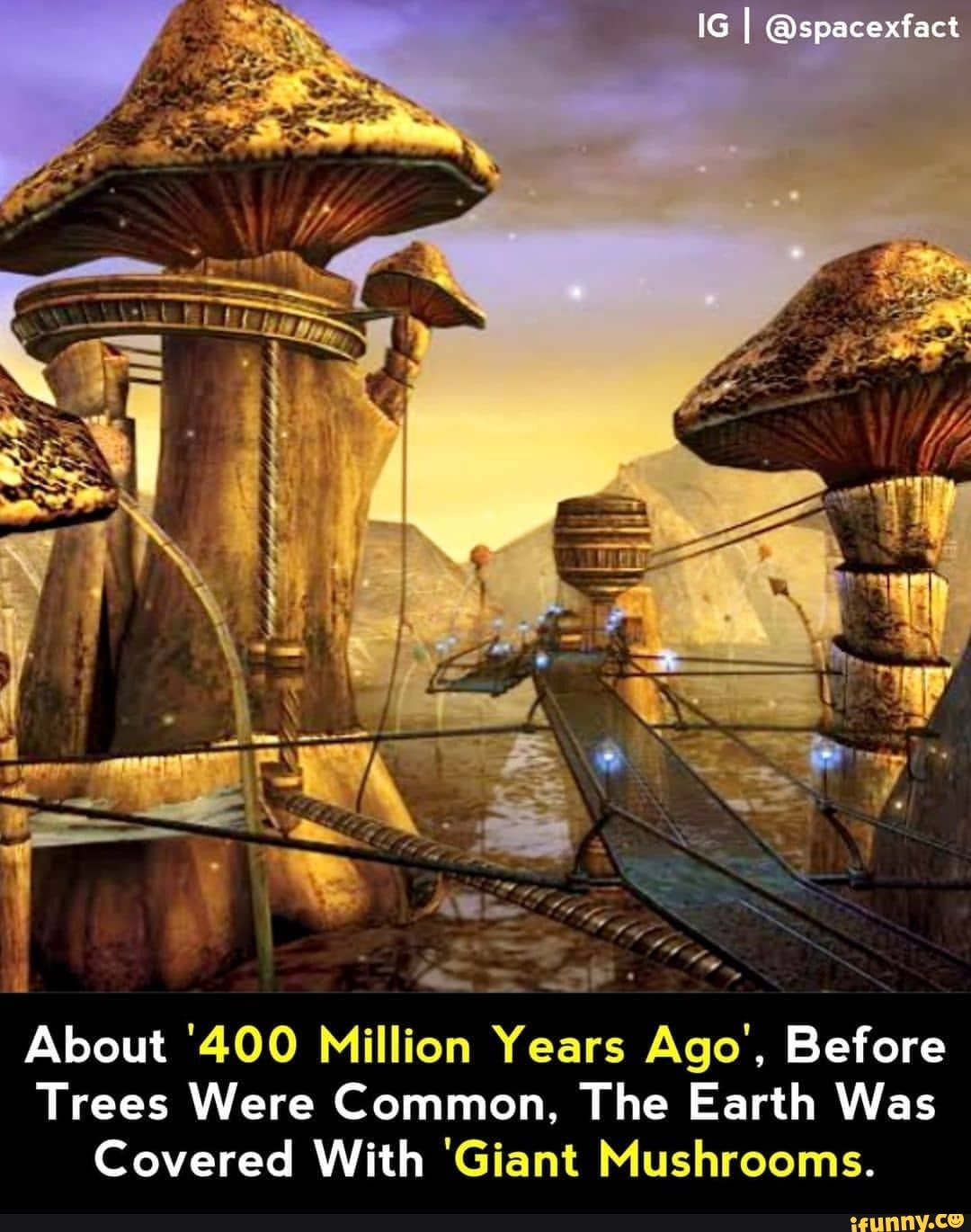 IG spacexfact About 400 Million Years Ago Before Trees Were Common 