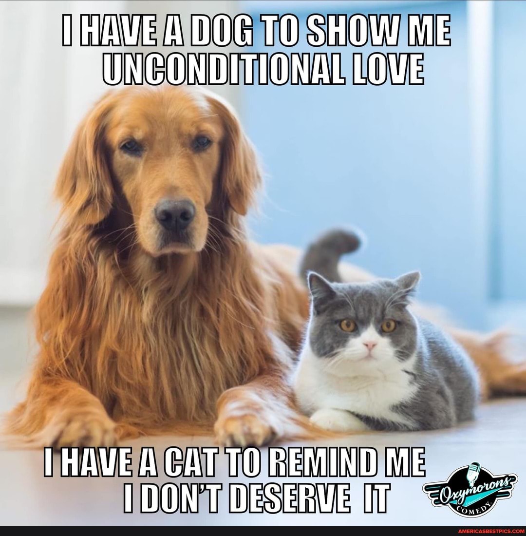 IHAVEADOG TO SHOW ME UNCONDITIONAL LOVE