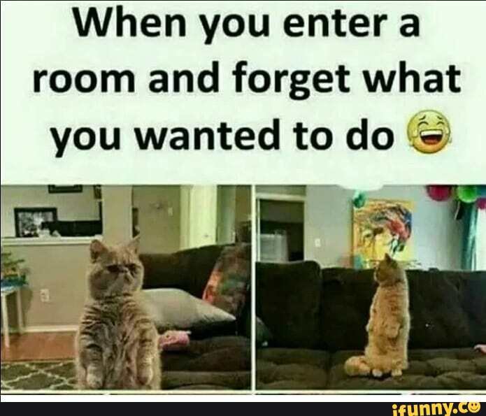 When You Enter A Room And Forget What You Wanted To Do Ifunny When You Enter A Room And Forget What You Wanted To Do Ifunny