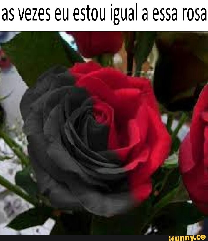 as vezes eu estou igual a essa rosa