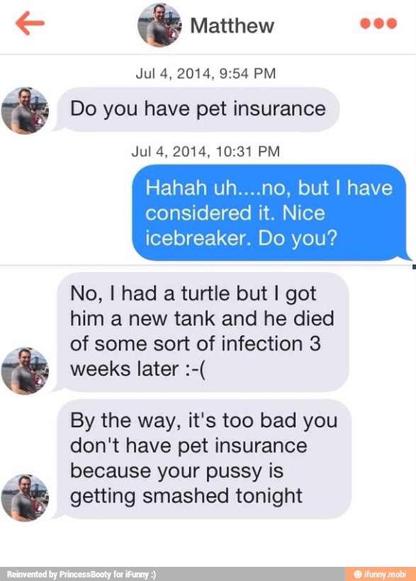 E Matthew
Tê Do you have pet insurance
considered it. Nice
icebreaker. Do you?
No, I had a turtle but I got
him a new tank and he died
of some sort of infection 3
By the way, it's too bad you
don't have pet insurance
because your pussy is getting smashed tonight