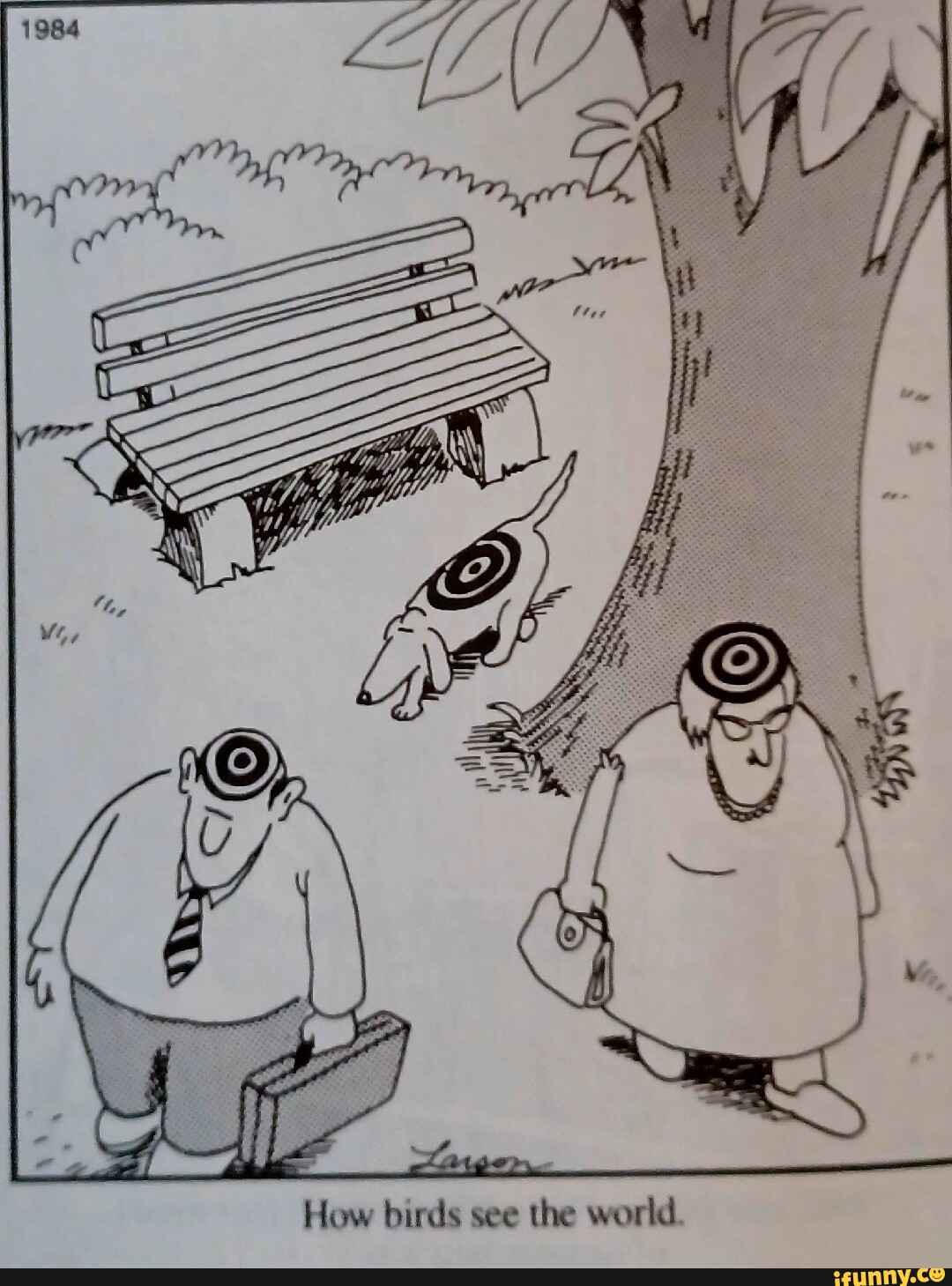 How birds see the world. iFunny