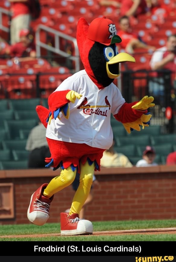 Fredbird (St. Louis Cardinals) - Fredbird (St. Louis Cardinals) - )