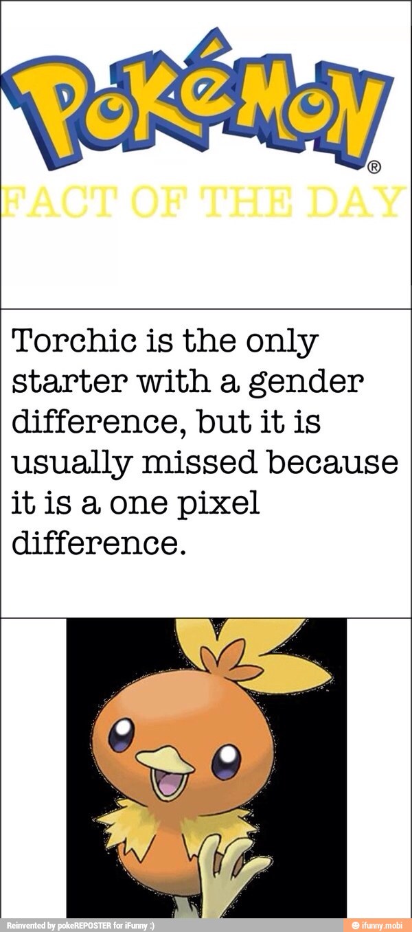 Torchic is the only
starter with a gender
difference, but it is
usually missed because
it is a one pixel
difference.