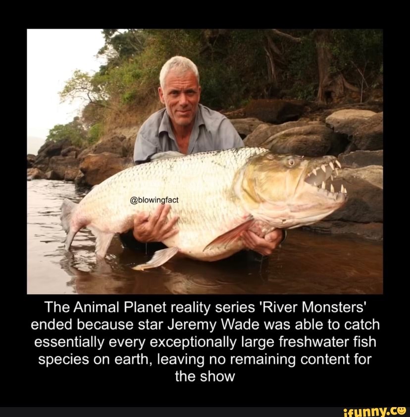 19 Unbelievable Fish Jeremy Wade Caught On River Monsters, 51% OFF
