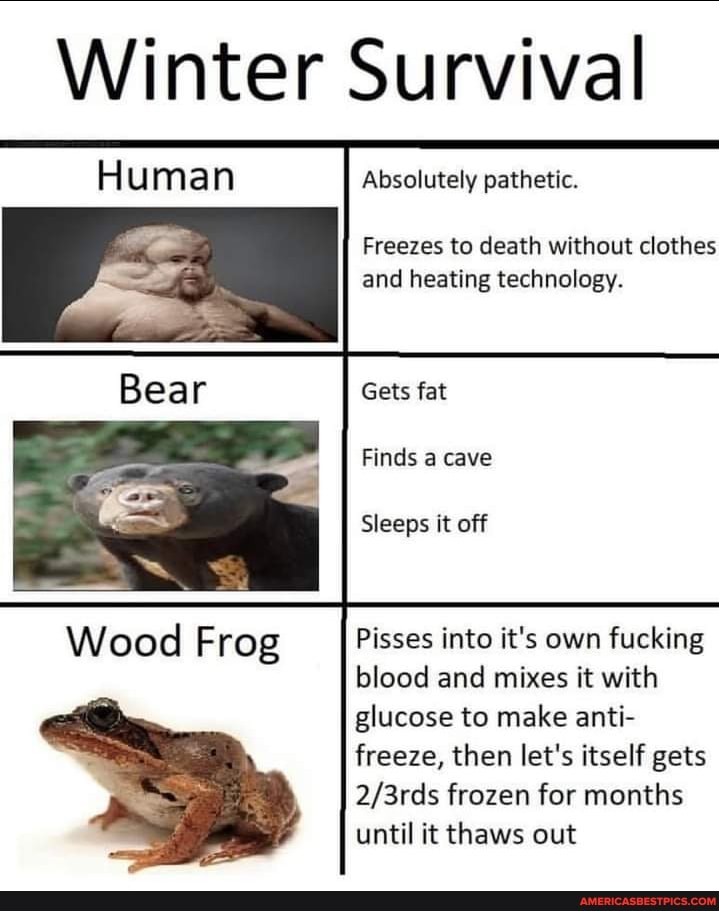 Winter Survival
Absolutely pathetic.
Freezes to death without clothes and heating technology.
Gets fat
Finds a cave
Sleeps it off
Pisses into it's own fucking blood and mixes it with glucose to make anti- freeze, then let's itself gets frozen for months until it thaws out
Wood Frog