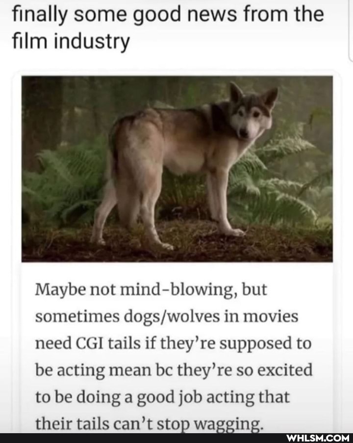 finally some good news from the film industry
Maybe not mind-blowing, but
I sometimes in movies need CGI tails if they're supposed to be acting mean bc they're so excited to be doing a good job acting that