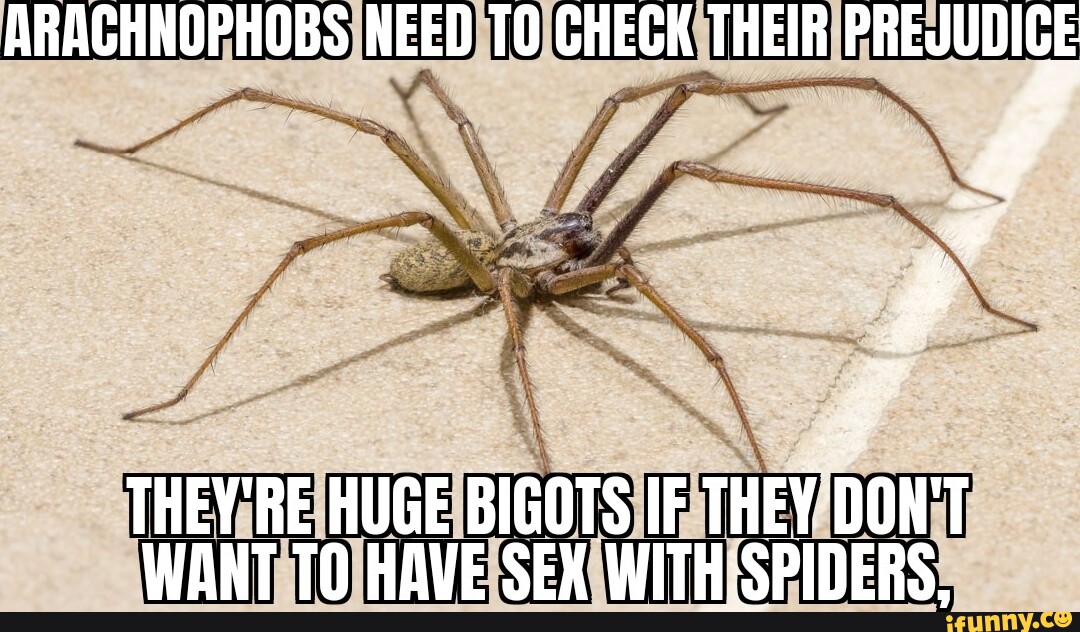 Arachnophobs Need Check Their Prejudige Theyre Huge Bigots If They Dont Want To Have Sex With 4681