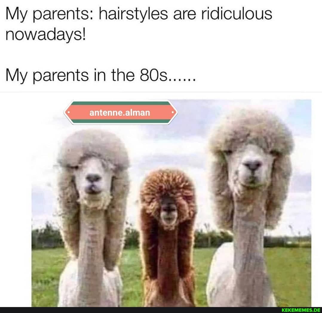 My parents: hairstyles are ridiculous nowadays!
My parents in the