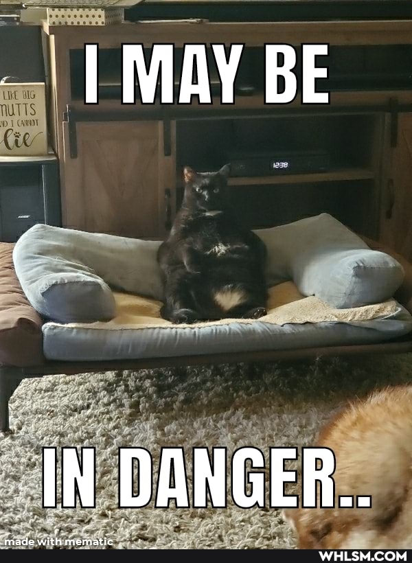 MAY BE
"IN DANGER..