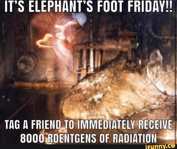 IT'S ELEPHANT'S FOOT FRIDAY! TAG A FRIEND TO IMMEDIATELY RECEIVE SOO0