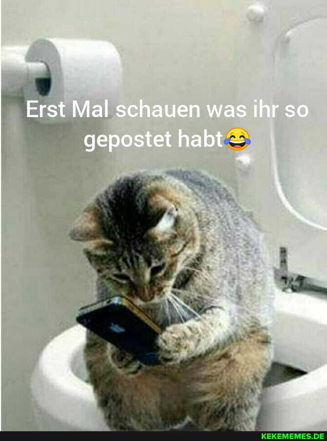 Erst Mal schauen was ihr so
gepostet habt &