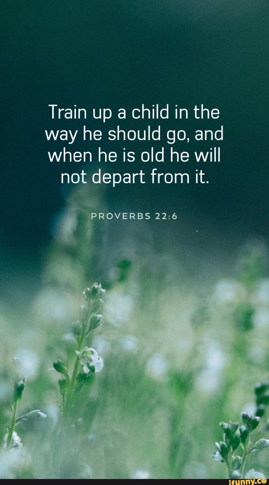 Train up a child in the
way he should go, and
when he is old he will not depart from it.
PROVERBS