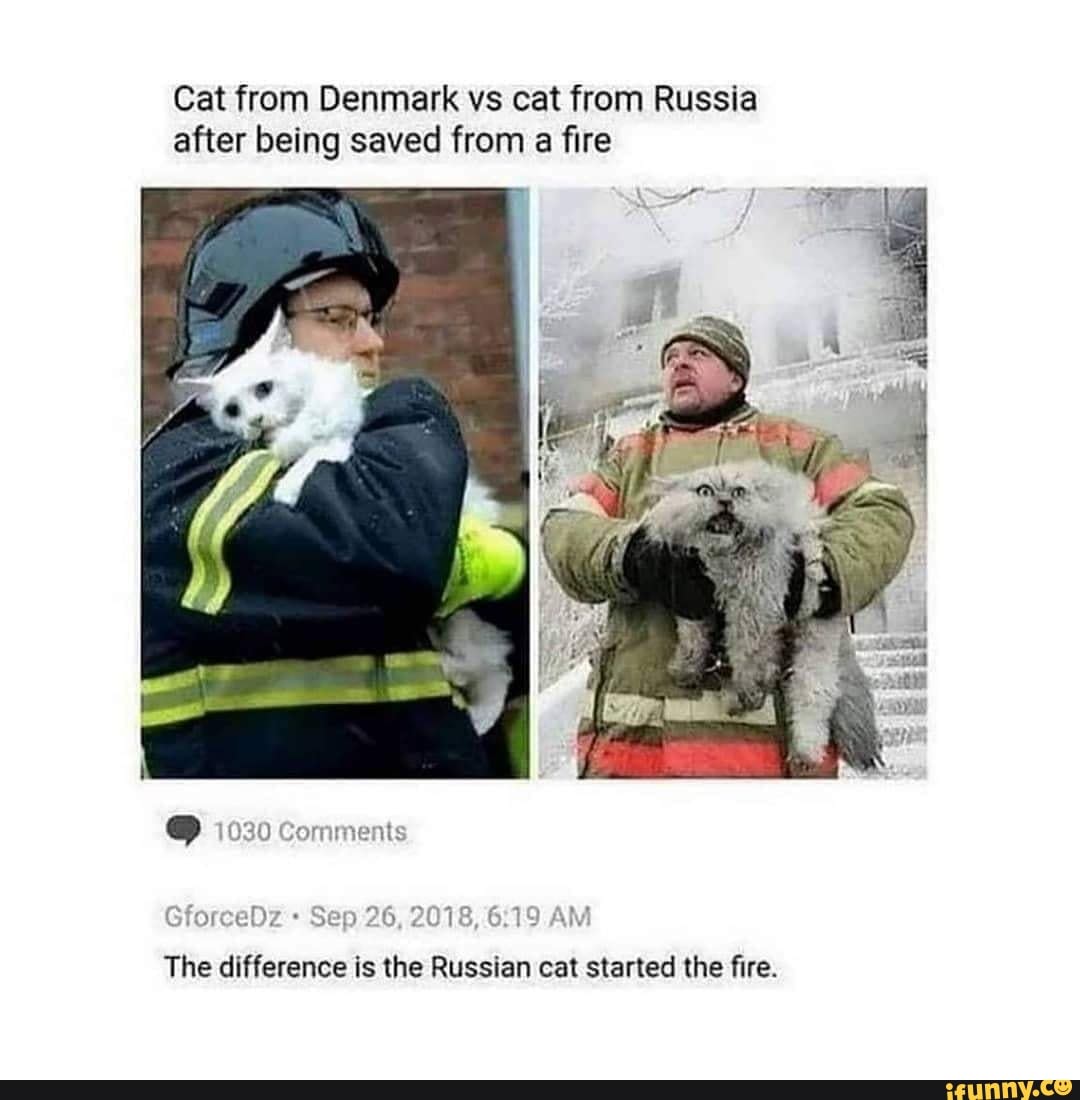 Cat from Denmark vs cat from Russia after being saved from a fire
C) 1030 Cormments
GforceDz Sep 26, 2018, 6.19 AM
The difference is the Russian cat started the fire.