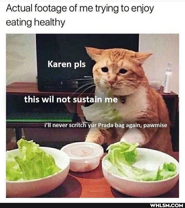 Actual footage of me trying to enjoy eating healthy
Karen pls
this wil not sustain me
never seritel bag again, pawmiise