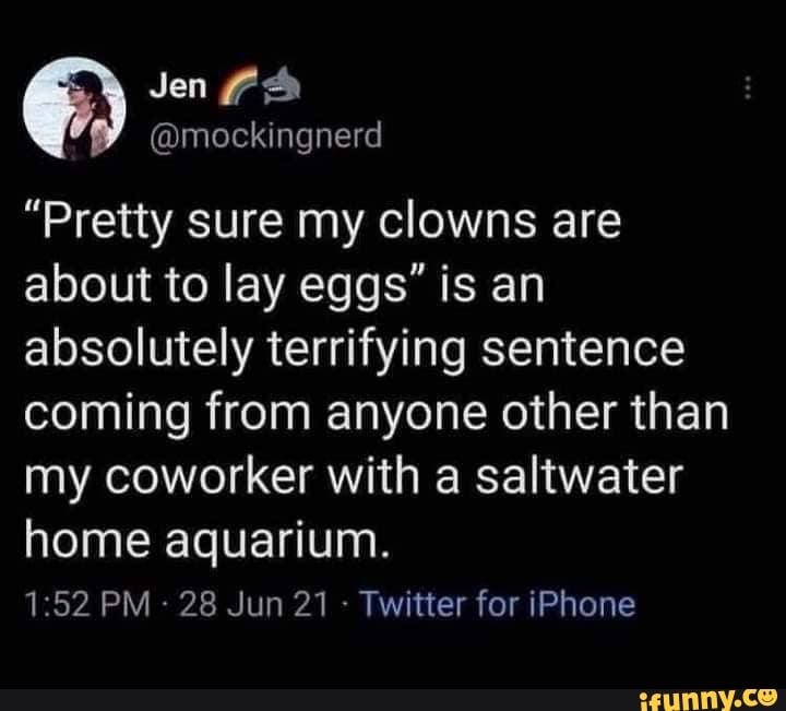 Jen mockingnerd Pretty Sure My Clowns Are About To Lay Eggs Is An Absolutely Terrifying 