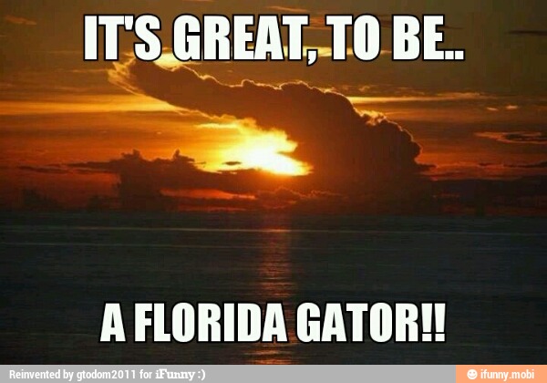 GATOR!! A FLORIDA