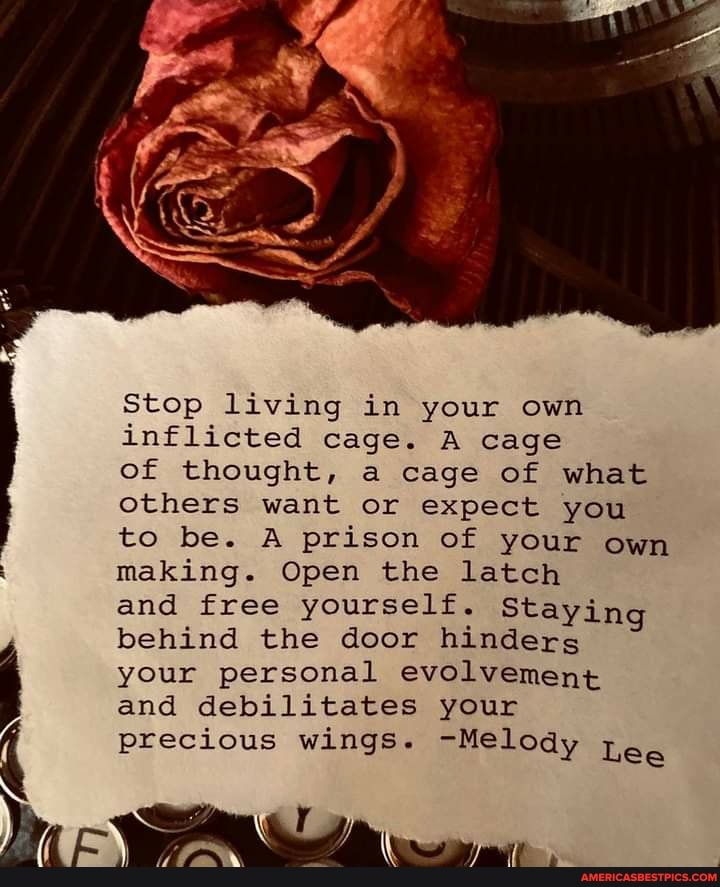 Stop living in your own inflicted cage. A cage
of thought, a cage of what others want or expect you to be. A prison of your own making. Open the latch
and free yourself. Staying behind the door hinders your personal evolvement and debilitates your precious wings. -Melody Lee