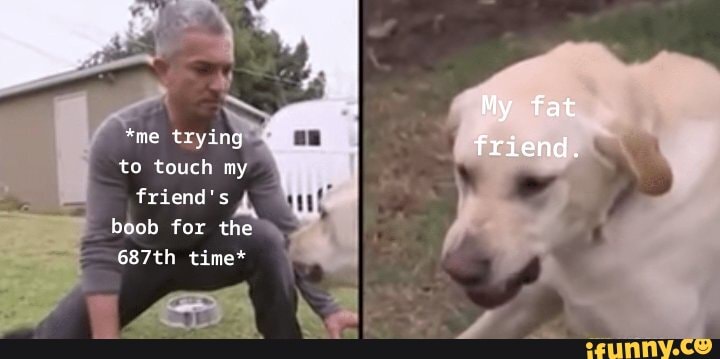 *me tryin
to touch my
friend's
