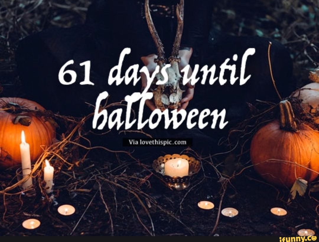 61 days until halloween iFunny