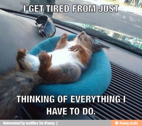 THINKING OF
HAVE TO DO: S