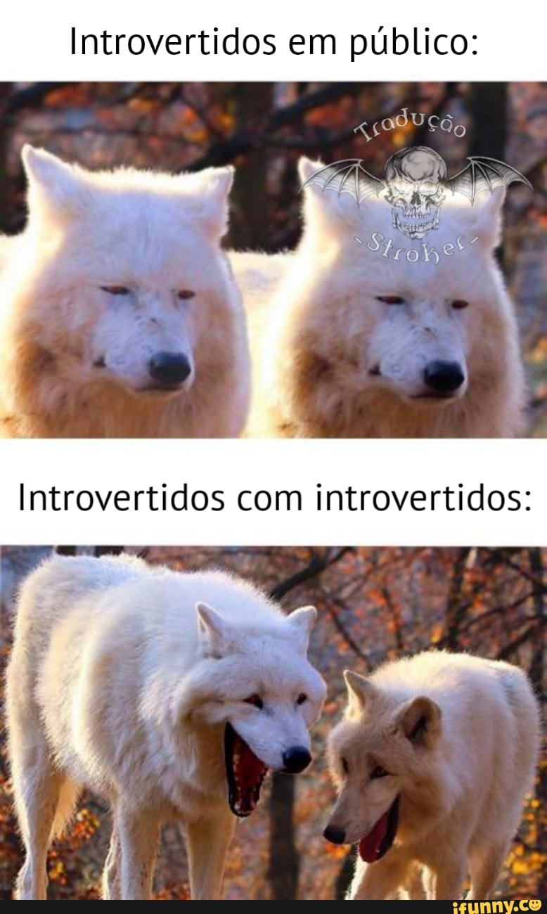 Introvertidos em público: