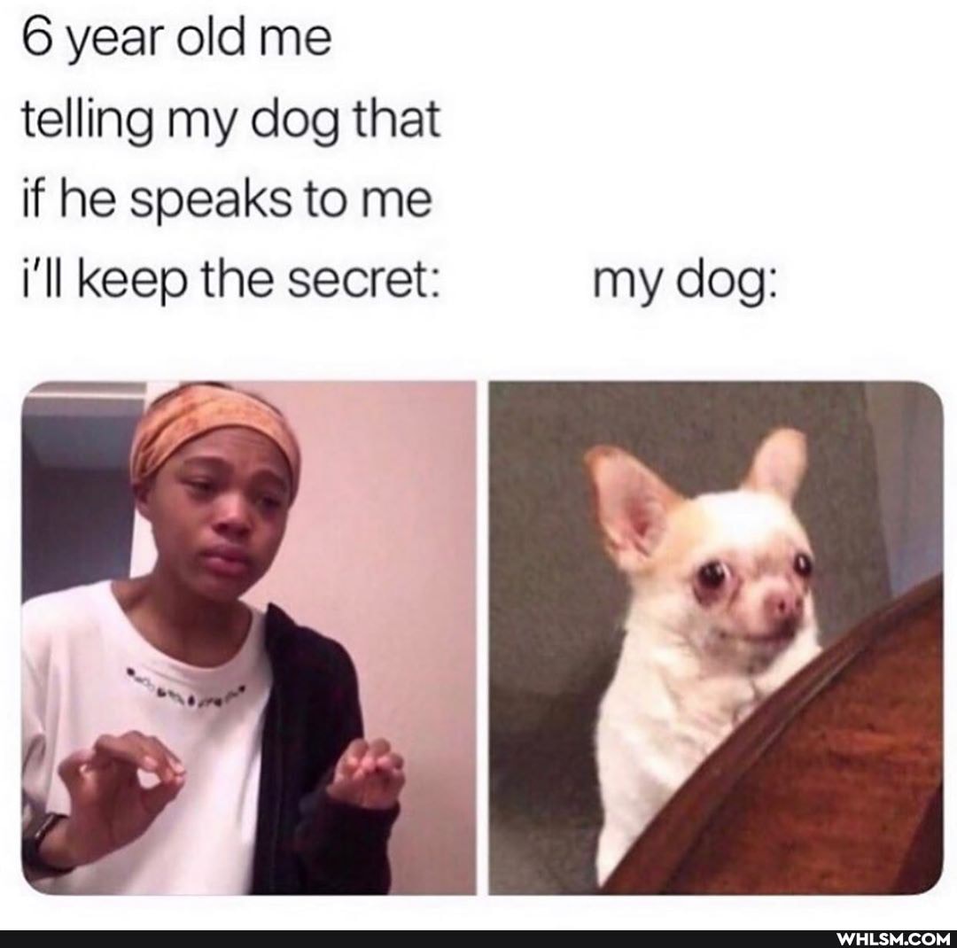 6 year old me
telling my dog that
if he speaks to me
i'll Keep the secret: my dog: