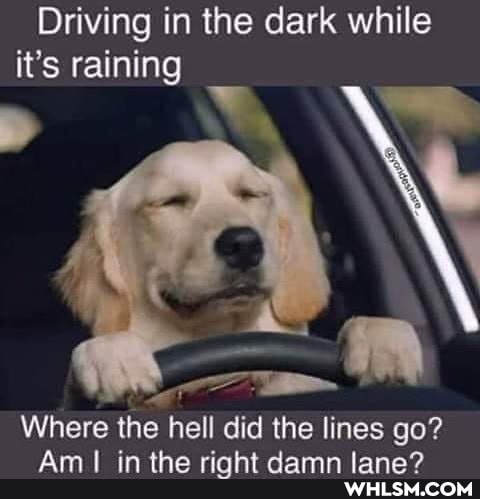 Driving in the dark while it's raining
Where the hell did the I lines go?