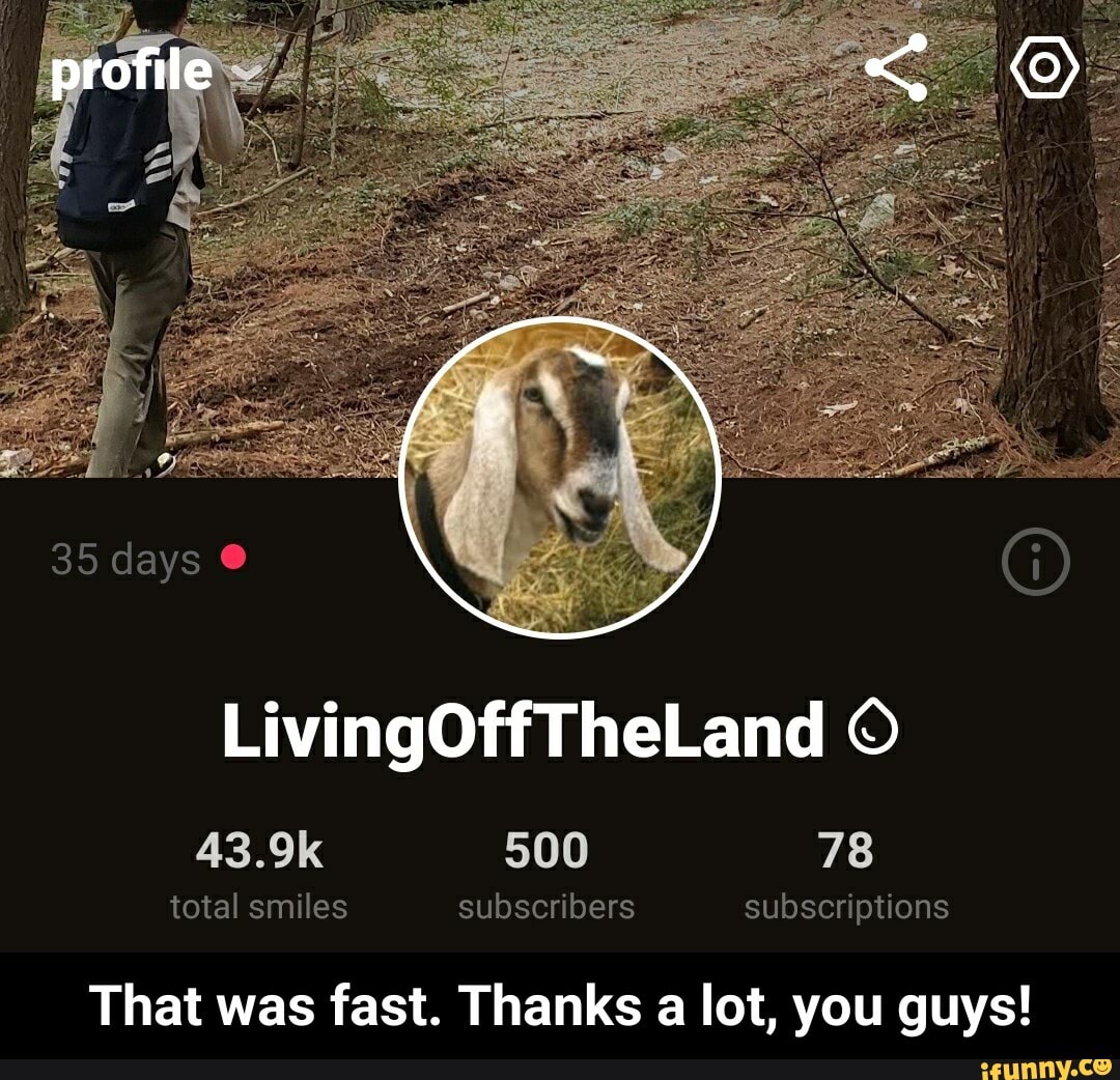 subscriptions
That was fast. Thanks a lot, you guys! - That was fast. Thanks a lot, you guys!