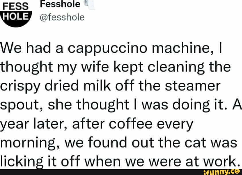 Steamer memes. Best Collection of funny Steamer pictures on iFunny