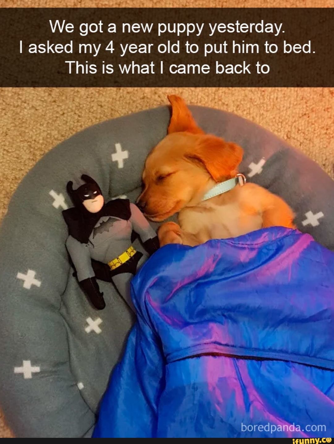 We got a new puppy yesterday.
I asked my 4 year old to put him to bed.
This is what I came back to
