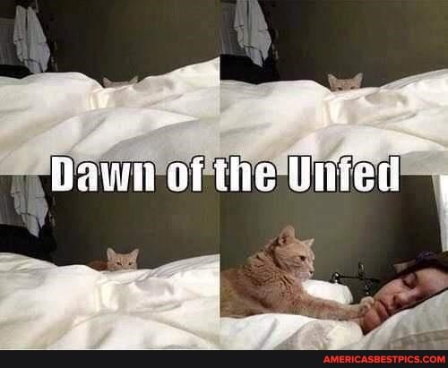 ww
Dawn oithe Uiied