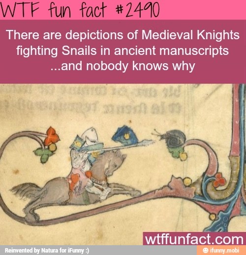 There Are Depictions Of Medieval Knights Fighting Snails In Ancient ...