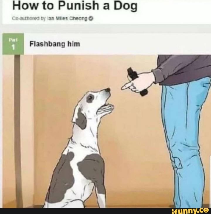 Flow to Punish a Dog
by lan Miles Cnecng
Flashbang him