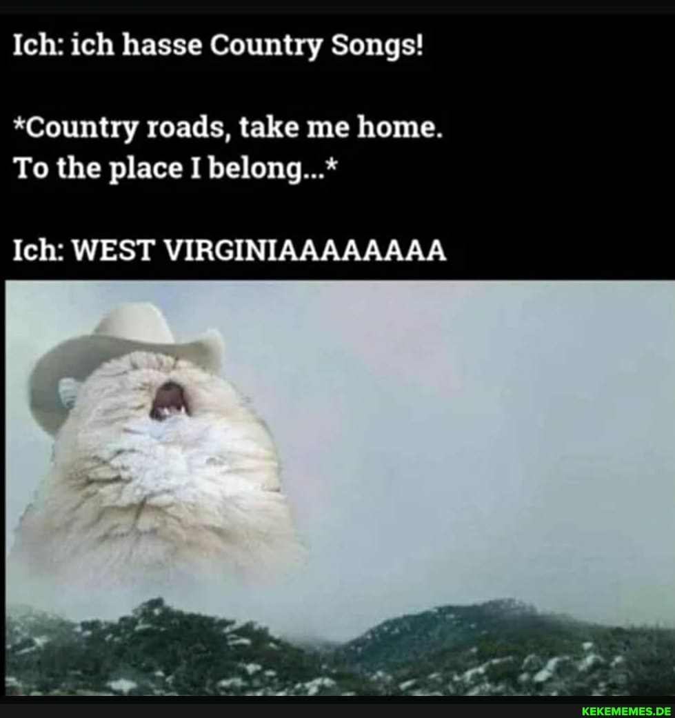 Ich: tech hasse Country Songs!
*Country roads, take me home.
To the place I belong...'
Ich: WEST VIRGINIAAAASAAA