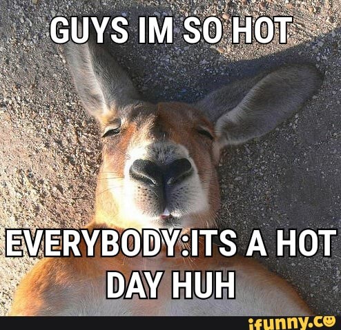 EVERVBODY:ITS A HOT
DAY HUH.
