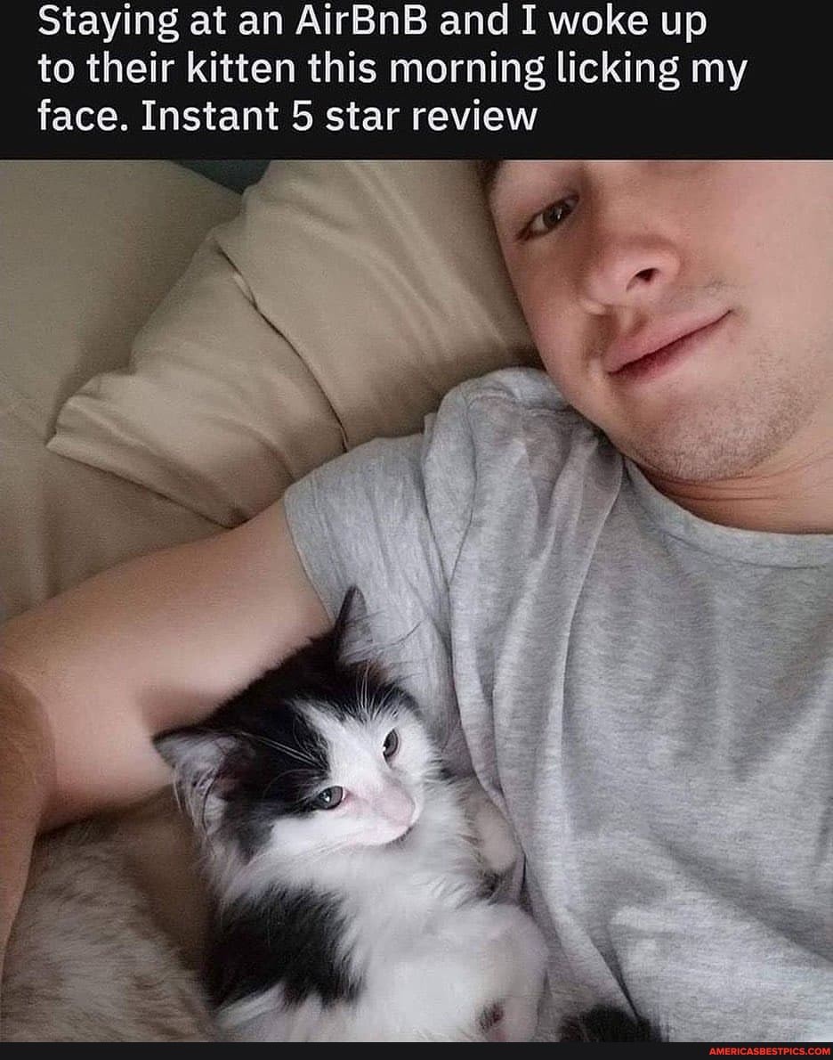 Staying at an AirBnB and I woke up to their kitten this morning licking my face. Instant 5 star review