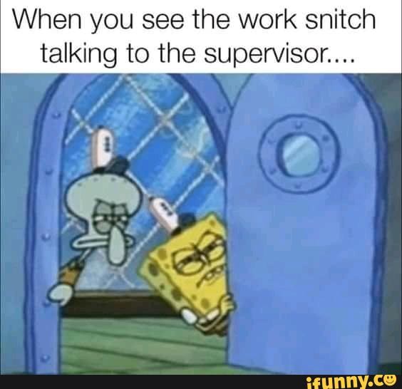 15 Memes I stole from Dank Memer #9 - When you see the work snitch ...