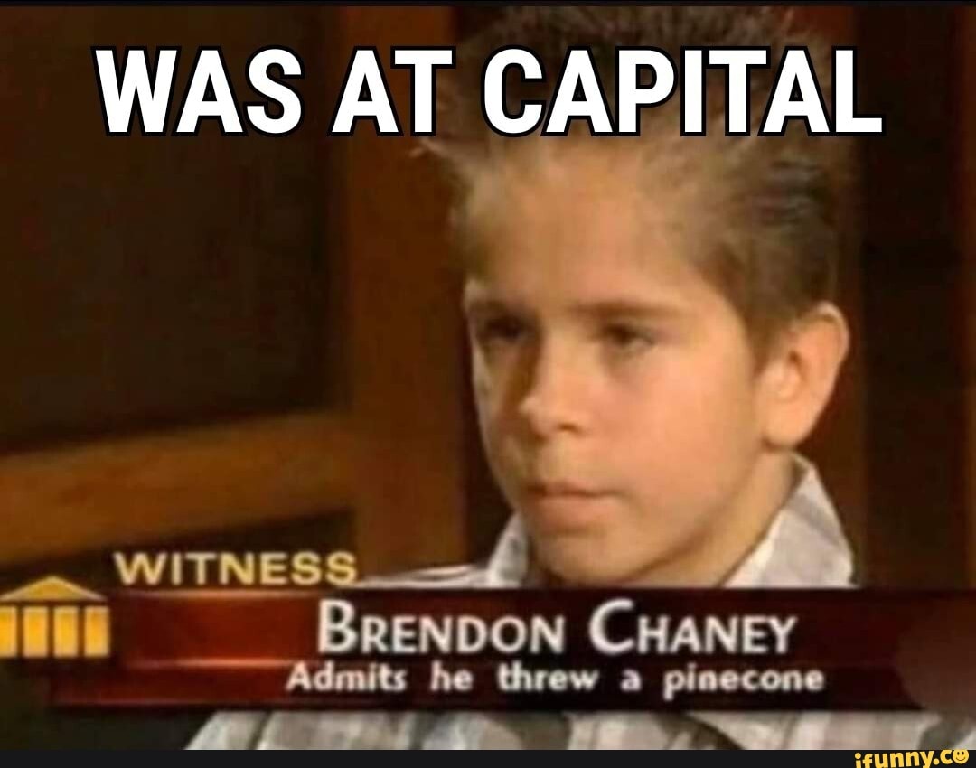 WAS AT CAPITAL
WITNESS BrenDON CHANEY Admits he threw a pinecone