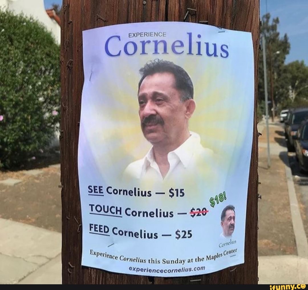 EXPERIENCE
Cornelius
SEE Cornelius - $15 rnelius - $15
TO TOUCH Cornelius - $20
FEED Cornelius $25
Tlence com cemel
FEED Cornelius - $25
Exper ience
Cornelius this Sunday at the Maple
exp,