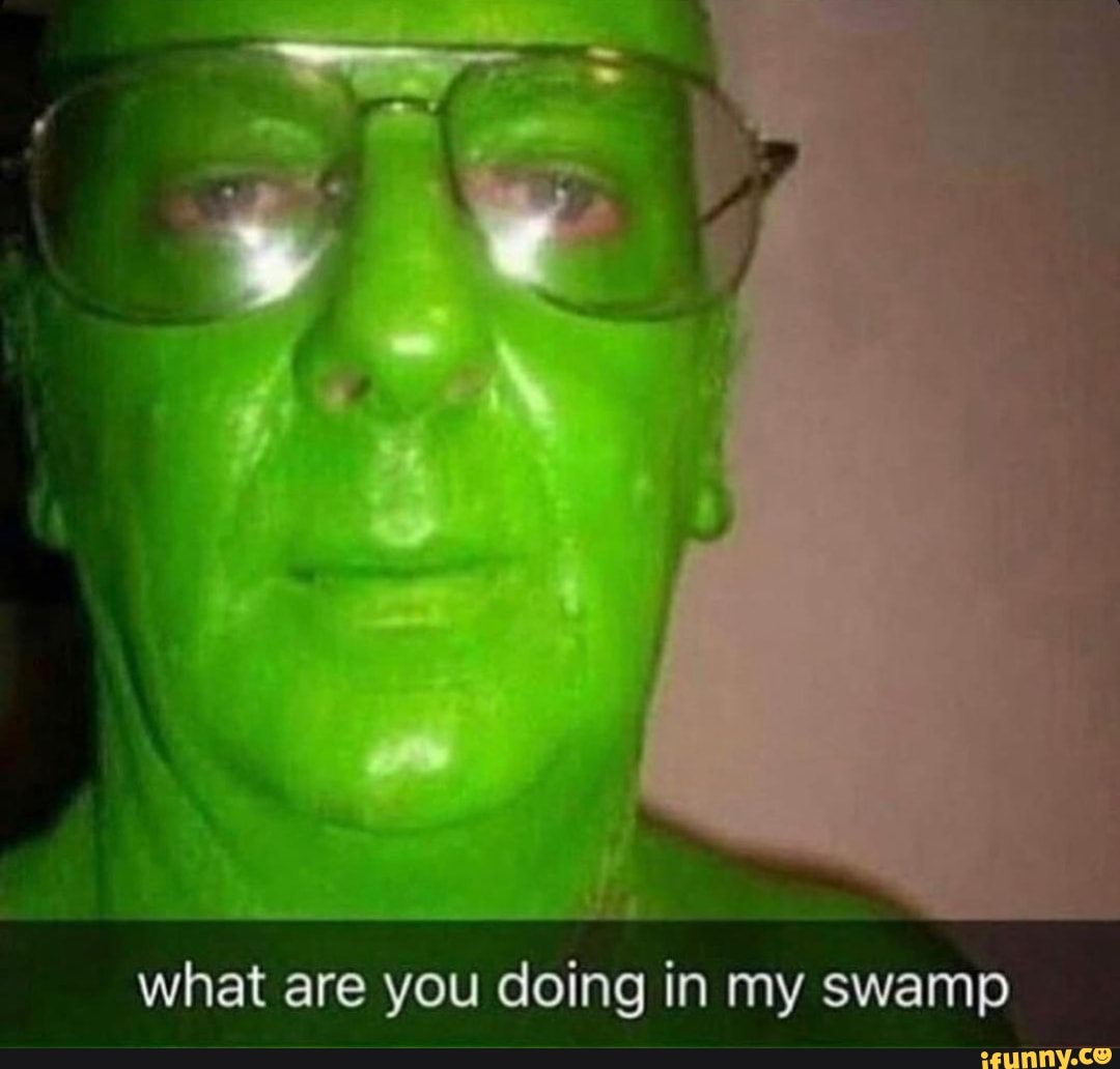 What Are You Doing In My Swamp