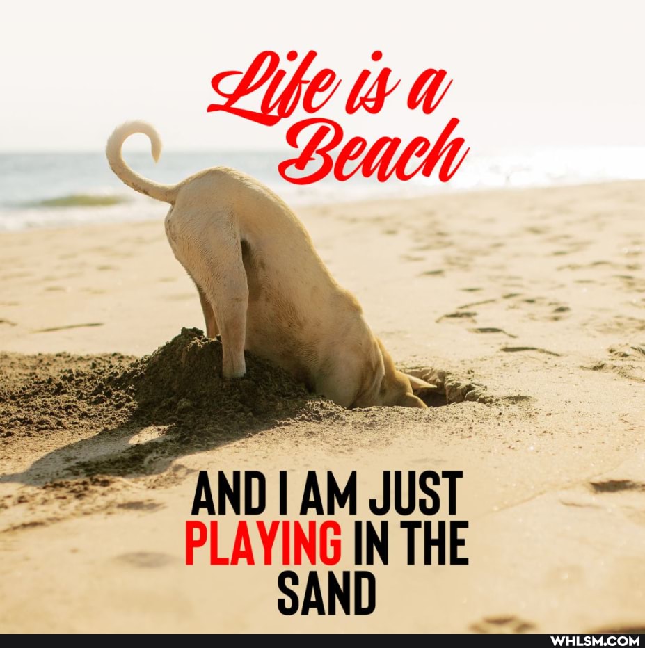 wa--
PANDIAM JUST PLAYING IN THE SAND