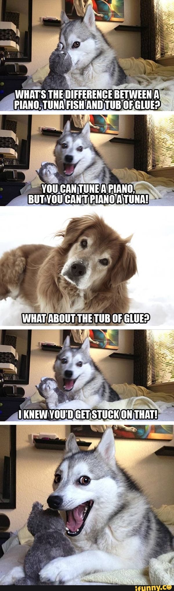 What S The Difference Between A Piano Tuna Fish And Tub Of Glue You Can Tune A Piano But You Can T Piano A Tuna Knew You D Get Stuck On That