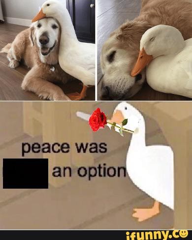 Y
peace was MI